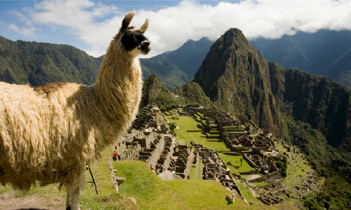 Machu Picchu overview